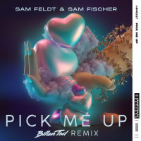 Pick Me Up (Billen Ted Remix) (Single)
