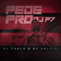 Pede Pro Dj P7 (Single)