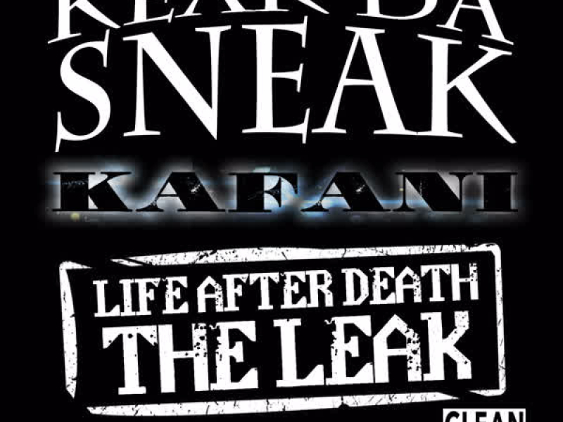 Life After Death: The LEAK (EP)