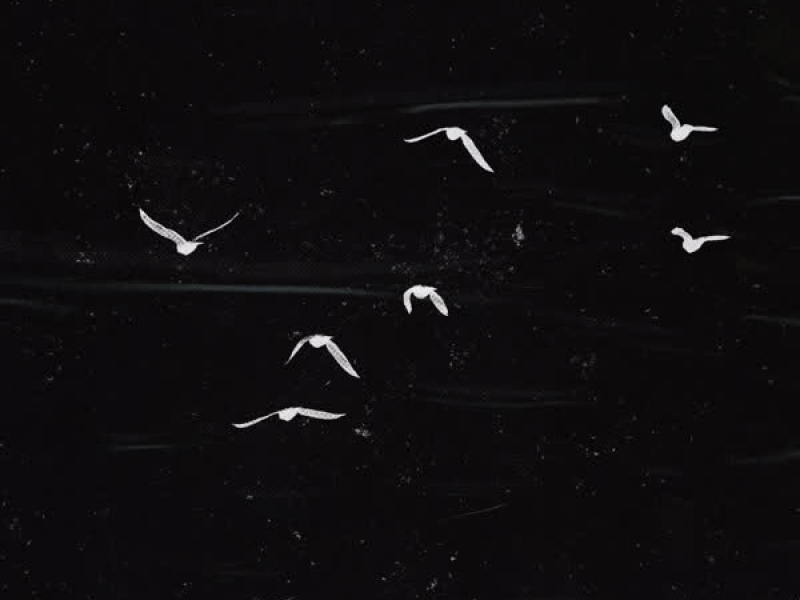 Set Me Free (Extended Mix) (Single)