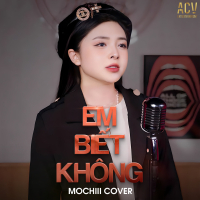 Em Biết Không (Domino Remix) (Single)