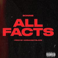 All Facts (Single)