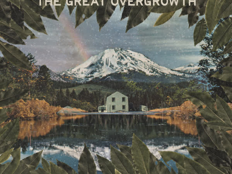 The Great Overgrowth (Single)