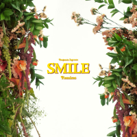 Smile (Remixes) (EP)