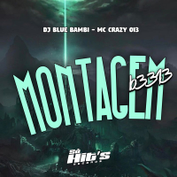 Montagem B3313 (Single)