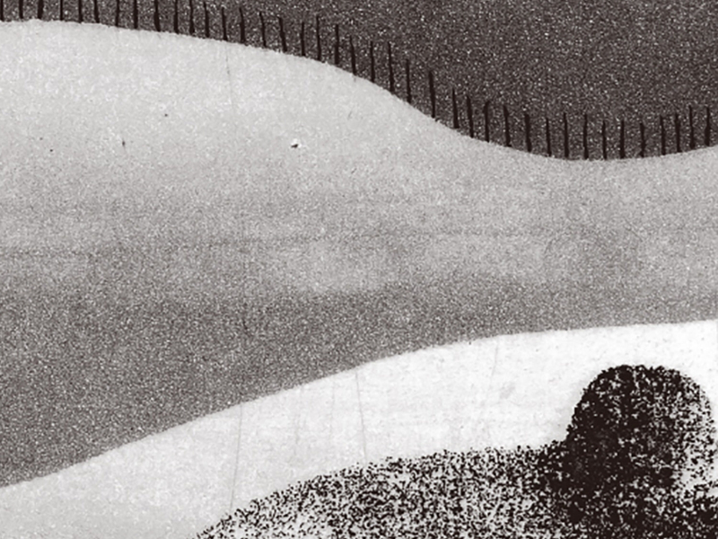 The Spell of a Vanishing Loveliness (Beach Fossils Rework) (Single)