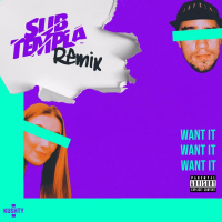 Want It (Sub Templa Remix) (Single)
