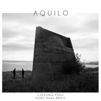 Losing You (Mura Masa Remix) (Single)