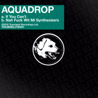 If You Can't / Nah Fuck Wit Mi Synthesizers