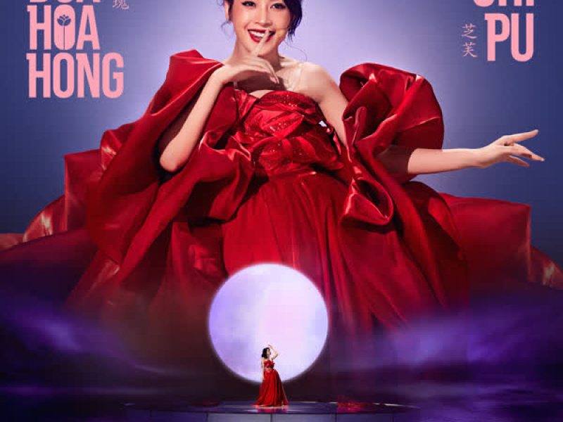 Đóa Hoa Hồng (红玫瑰) (Chengfeng 2023 Version) (Single)