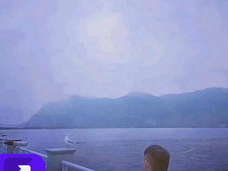 佳人（绝望版） (Single)