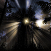 Nightfall Drones | The Sounds of Nature (Single)