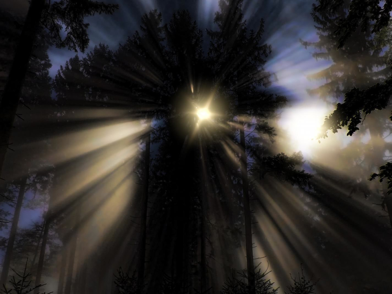 Nightfall Drones | The Sounds of Nature (Single)