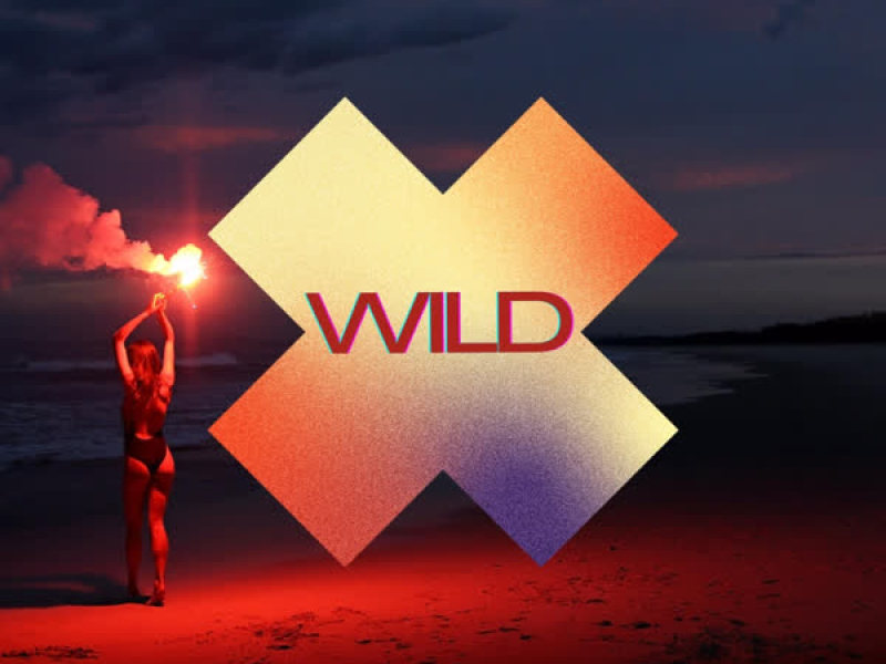 Wild (Single)