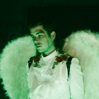 du hast mein herz im darknet verkauft (MV) (Single)