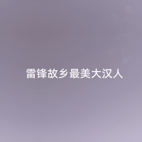 雷锋故乡最美大汉人 (Single)