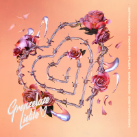 Grenzeloze Liefde (Single)