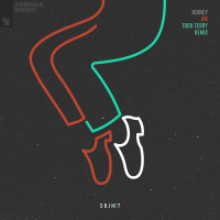 DM (Todd Terry Remix) (Single)