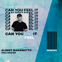 Can You Feel It (The Remixes) (EP)