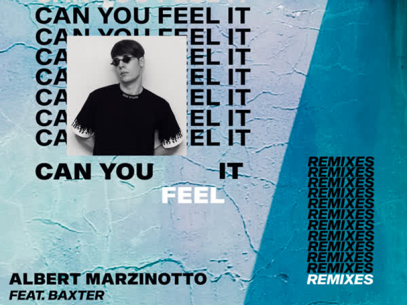 Can You Feel It (The Remixes) (EP)