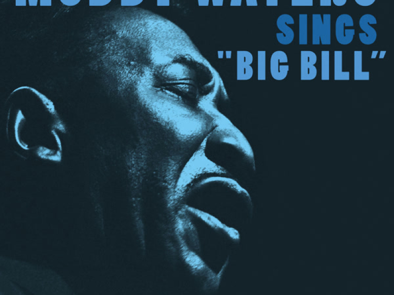 Muddy Waters Sings 