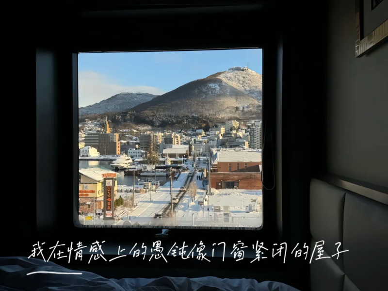 我在情感上的愚钝像门窗紧闭的屋子 (Single)