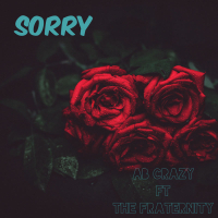 Sorry (Single)