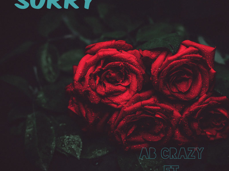 Sorry (Single)