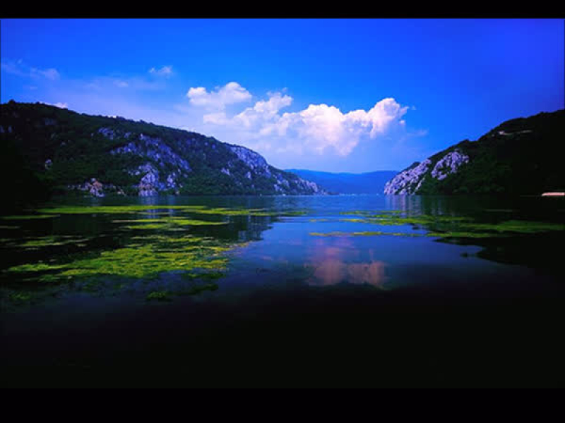 It's A Beautiful Life