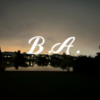B.A. (Single)
