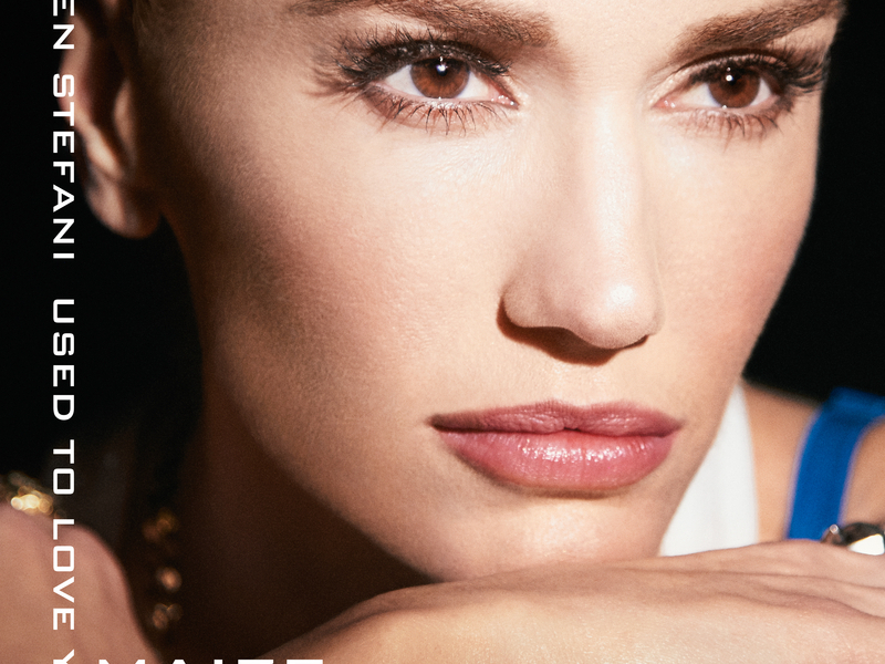 Used To Love You (MAIZE Remix) (Single)