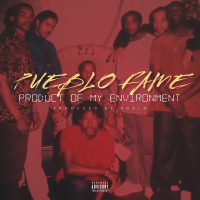 Product of My Environment (Single)