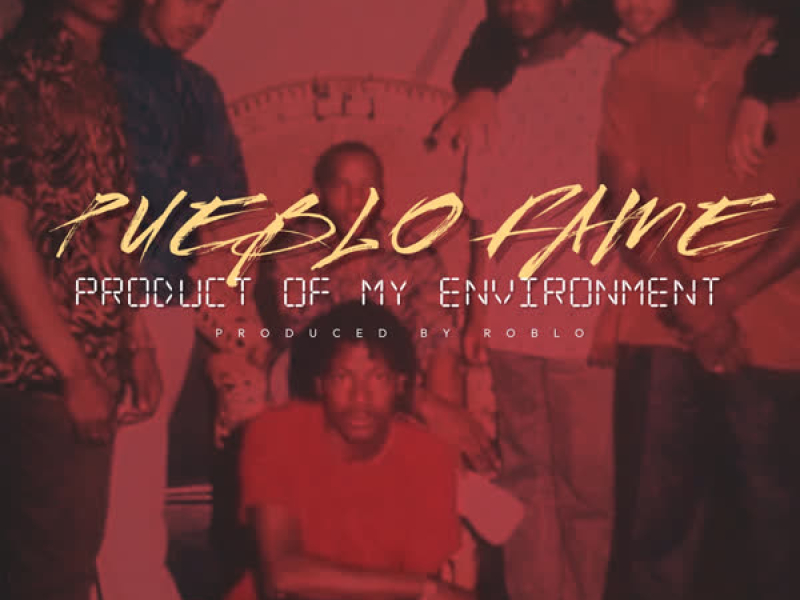 Product of My Environment (Single)