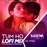 Tum Ho Lofi Mix (Single)
