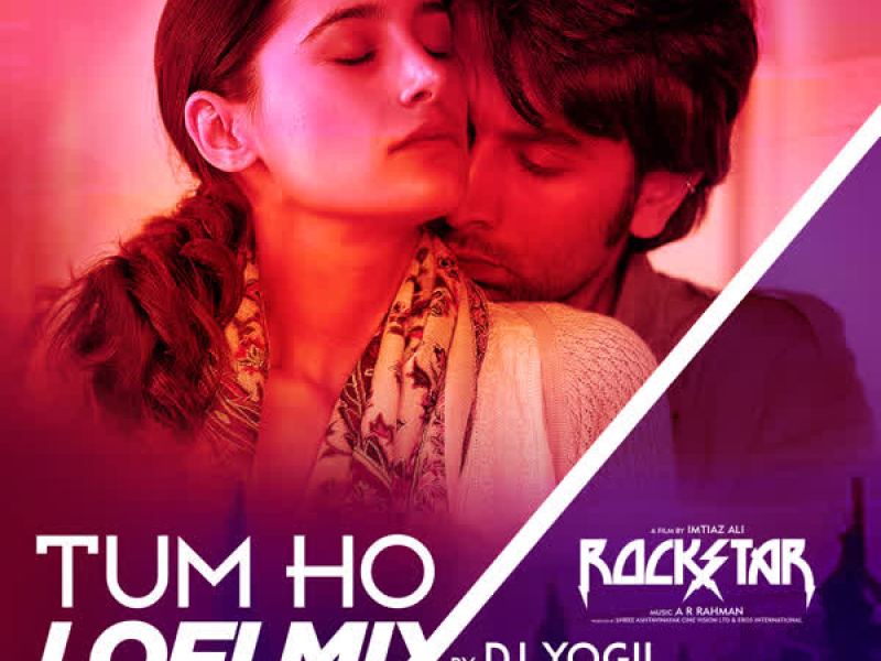 Tum Ho Lofi Mix (Single)