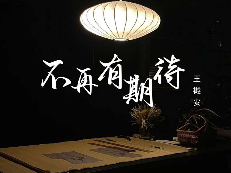 不再有期待 (Single)