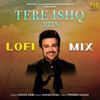 Tere Ishq Mein (Lofi Mix) (Single)