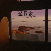 星月夜 (文少不会说唱) (Single)