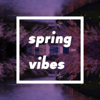 Nightly Vibes. (Single)