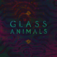 Glass Animals (Single)