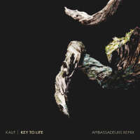 Key to Life (Ambassadeurs Remix) (Single)