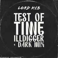 Test of Time (ILLDIGGER Dark Remix) (Single)