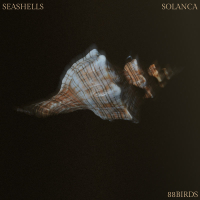 Seashells (Single)