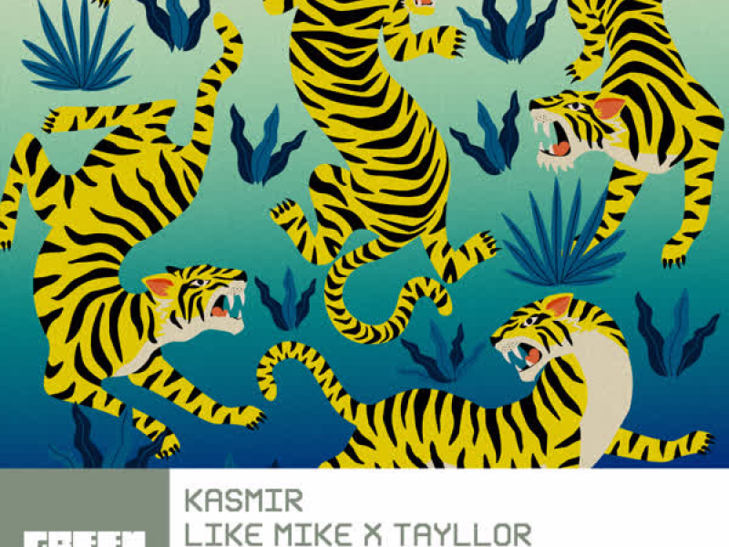 Kasmir (Single)