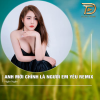 Anh Mới Chính Là Người Em Yêu (Remix) (Single)