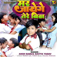 Mar Jaayenge Tere Bin (Single)