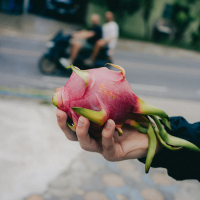 + AMORE - STRESS (fenoaltea remix) (Single)