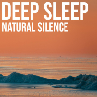Natural Silence (Single)