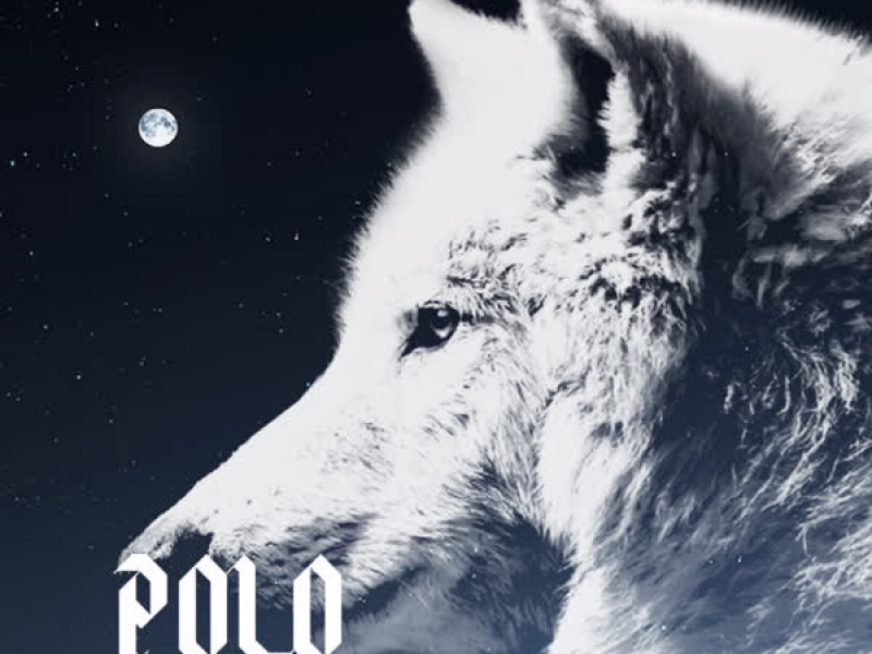 Polo (Single)