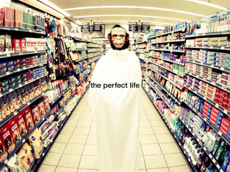 The Perfect Life (Single)